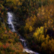 Autumn Forest Falls Art Print