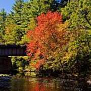 Autumn Glory On The Millers River In Orange Art Print