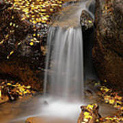 Autumn Gold And Waterfall Art Print