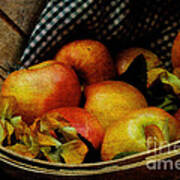 Autumn Harvest Art Print