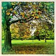 #autumn In The Park. #dublin Art Print