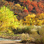 Autumn In Zion Art Print