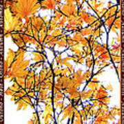 Autumn Leaves 4 Art Print