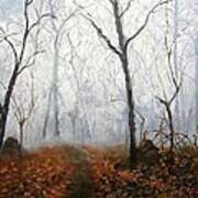 Autumn Mist Art Print