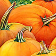 Autumn Pumpkins Art Print
