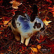 Autumn Rabbit 5010 - James Ahn Art Print
