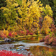 Autumn River Art Print