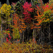 Autumn Splendor In The Adirondacks Art Print