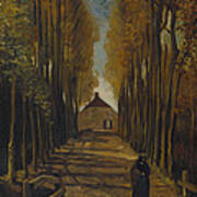 Avenue Of Poplars In Autumn Art Print