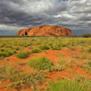 Ayers Rock Uluru-kata Tjuta Natl Park Art Print