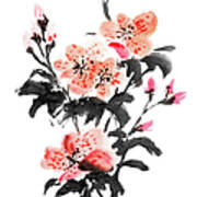 Azalea Flowers Art Print