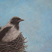 Baby Crow Art Print