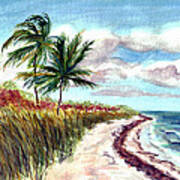 Bahia Honda State Park Art Print