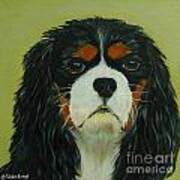 Cavalier King Charles Spaniel Art Print