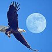 Bald Eagle And Full Moon Art Print