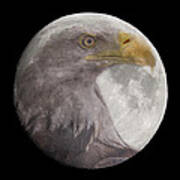 Bald Eagle In The Full Moon Art Print