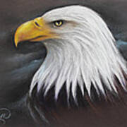 Bald Eagle Art Print