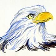 Bald Eagle Portrait Art Print
