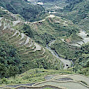 Banaue Rice Terraces Art Print