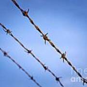 Barbed Wire Close Art Print