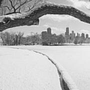 Bare Trees In A Park, Lincoln Park Art Print