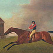 Baronet With Sam Chifney Up Art Print