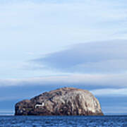 Bass Rock, East Lothian, Scotland Art Print