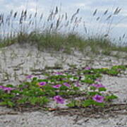 Beach Flowers Art Print