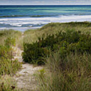 Beach Path Art Print