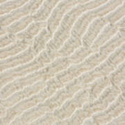 Beach Sand Texture Art Print