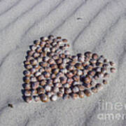 Beach Treasure Art Print