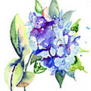 Beautiful Blue Flowers Art Print