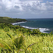 Beautiful Island Of St. Kitts Art Print