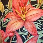 Beautiful Lilies Art Print