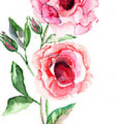 Beautiful Roses Flowers Art Print