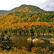 Beaver Pond Art Print