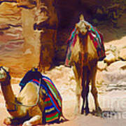Bedu Camels On The Silk Road Art Print