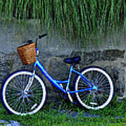 Bicycle At Rest Art Print