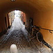 Bicycle In Tunnel Art Print