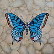 Big Blue Butterfly Art Print