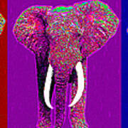 Big Elephant Three 20130201v2 Art Print