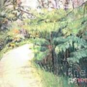 Big Island Pathway Art Print