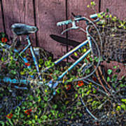 Bike In The Vines Art Print