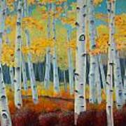 Birch Forest Art Print