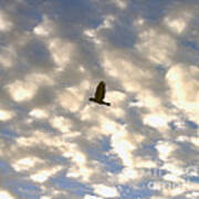 Bird Across Macerel Clouded Sky Art Print