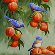 Bird Painting - Bluebirds And Peaches Art Print