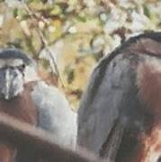 Birds In Brush Stroke Art Print