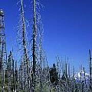 Black Butte Burn And Fire Tower Art Print