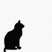 Black Cat Silhouette On A White Background Art Print