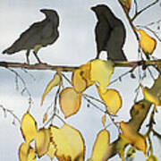 Black Ravens In Birch Art Print